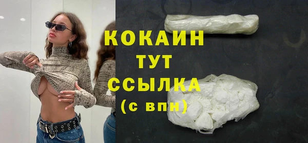 стаф Дмитриев