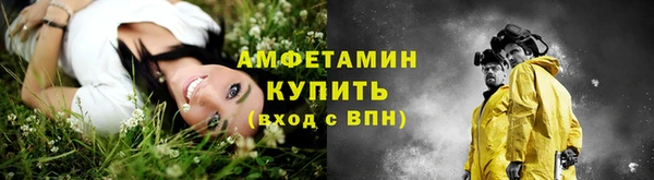 стаф Дмитриев