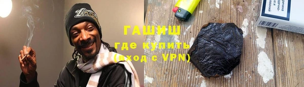 шишки Ельня