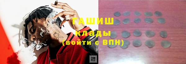 стаф Дмитриев