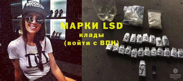 шишки Ельня