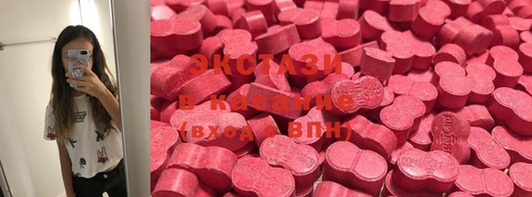 стаф Дмитриев